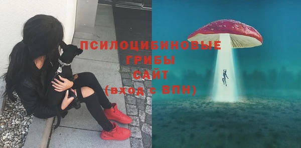 прущая мука Володарск