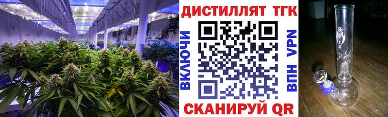ТГК концентрат Купить Кохма
